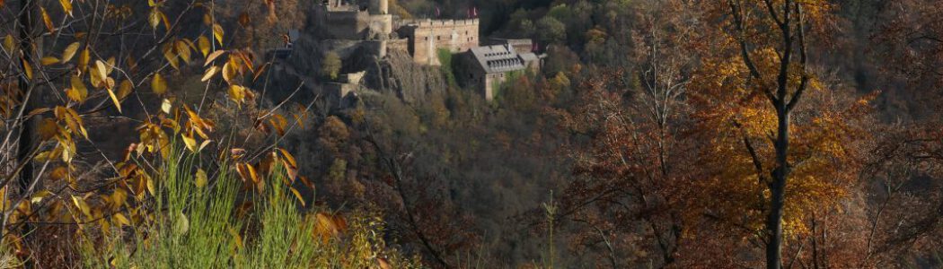 Saar-Hunsrück-Steig (Deutschland) | 18.06. – 23.06.2020 Saar-Hunsrück-Steig (Deutschland) | 18.06. – 23.06.2020