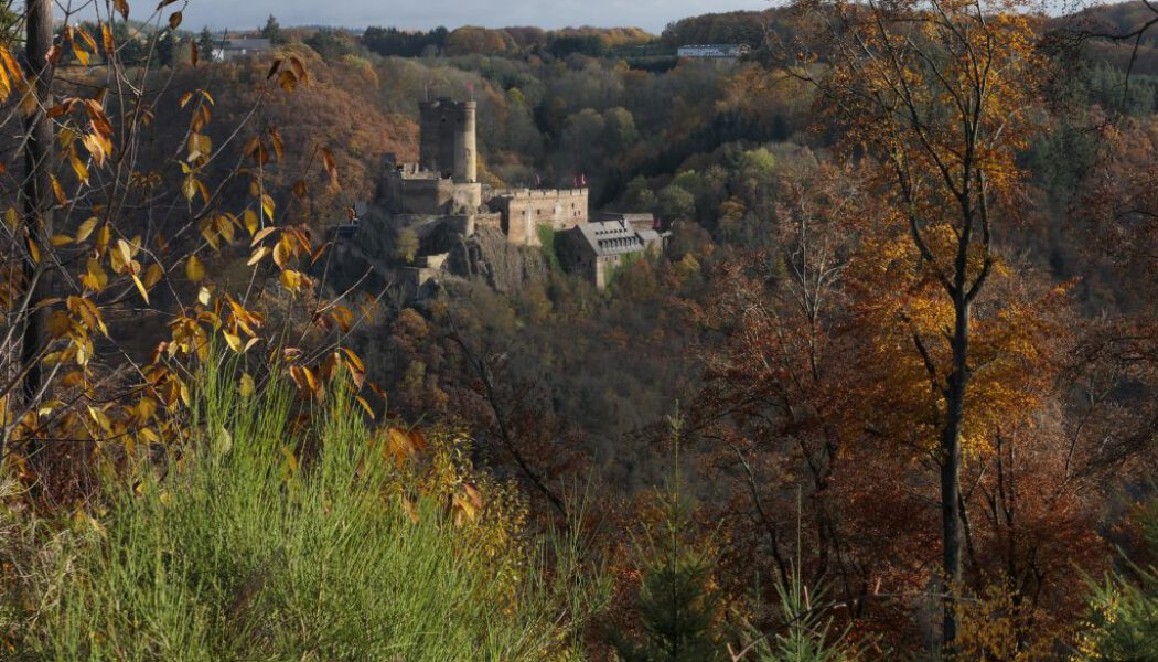 Saar-Hunsrück-Steig (Deutschland) | 18.06. – 23.06.2020
