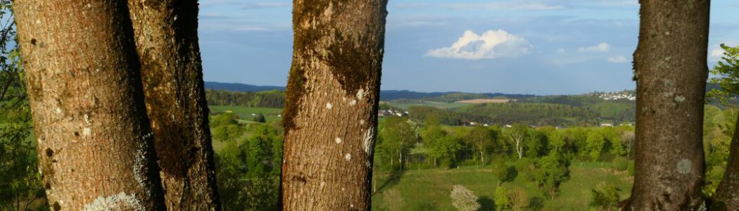 Eifelsucht (Deutschland)    | 07.06. – 13.06.2020