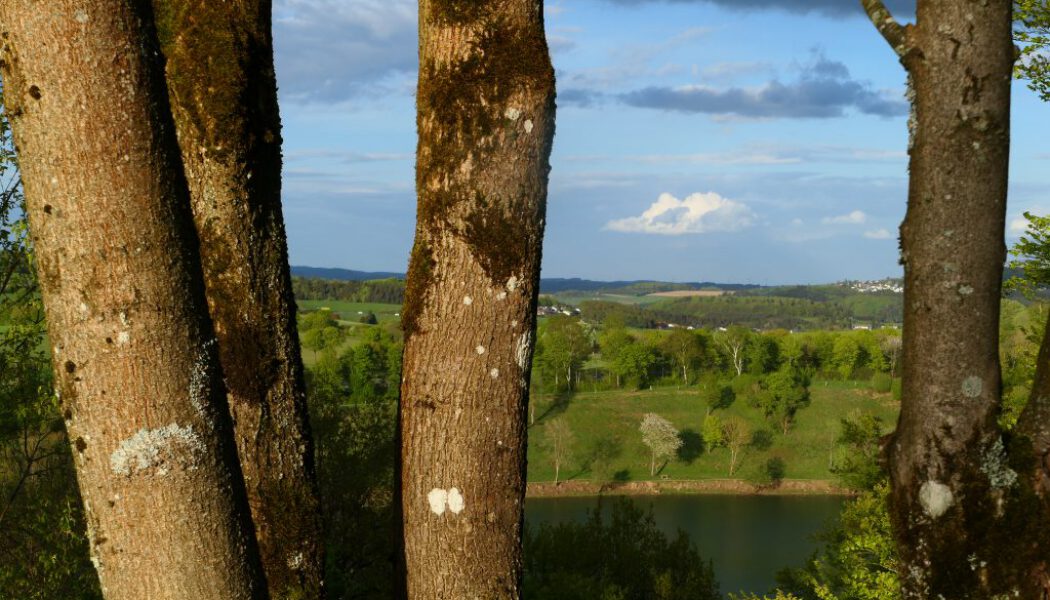 Eifelsucht (Deutschland) | 07.06. – 13.06.2020