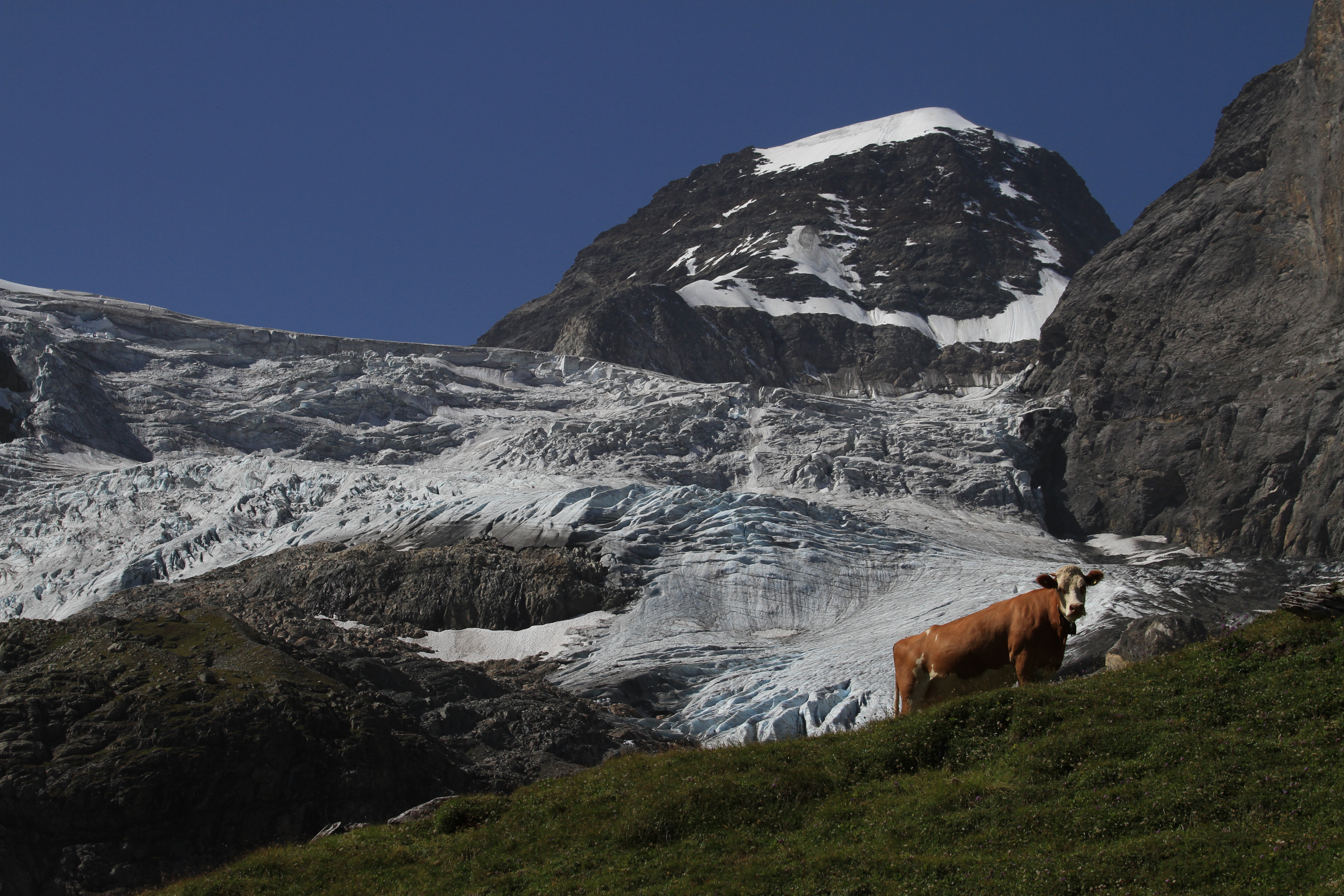 Gletscherwelten © TCEN