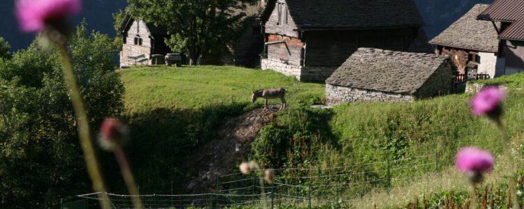 Val d’Ossola (Piemont) | 22.08. – 29.08.2026