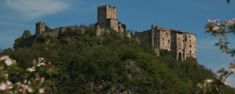 Auf Dürers Spuren (Italien)* | 28.03. – 04.04.2026