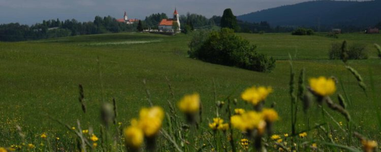 Zwischen Himmel und Hölle II (Slowenien)* | 17.05 – 24.05.2025