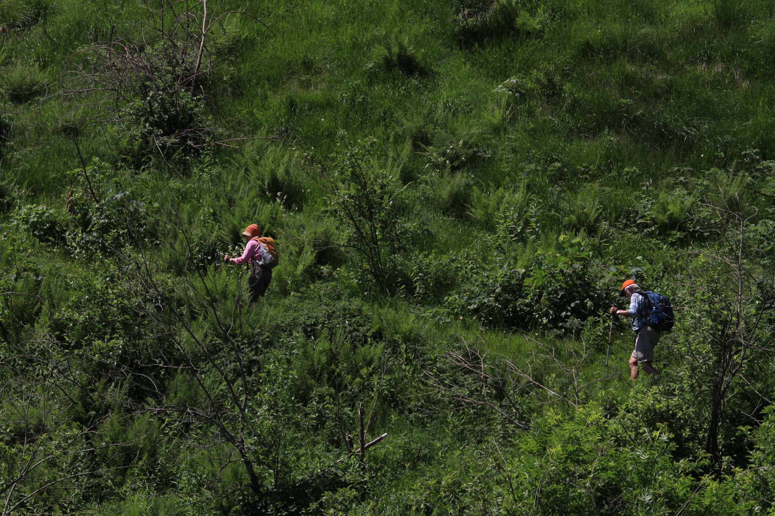 Okzitanien IV (GTA-Ostroute, Piemont) © TCEN Okzitanien IV (GTA-Ostroute, Piemont) © TCEN