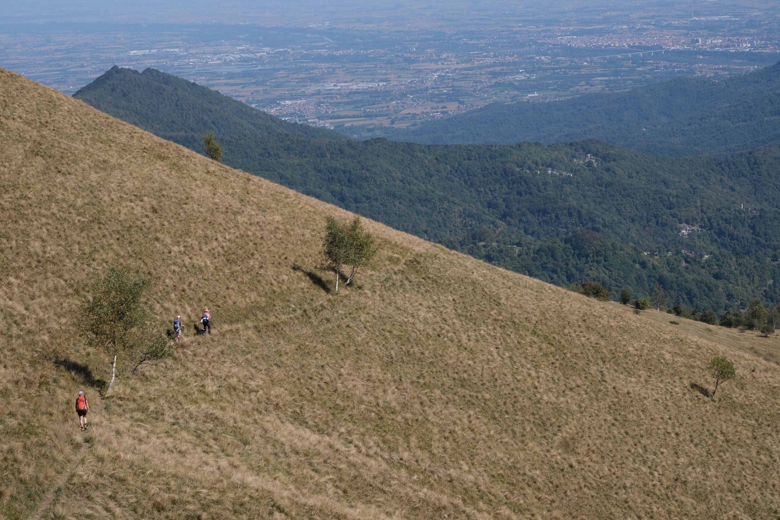 Okzitanien IV (GTA-Ostroute, Piemont) © TCEN Okzitanien IV (GTA-Ostroute, Piemont) © TCEN